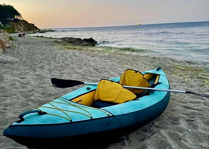 Black Sea Fichoza 别墅